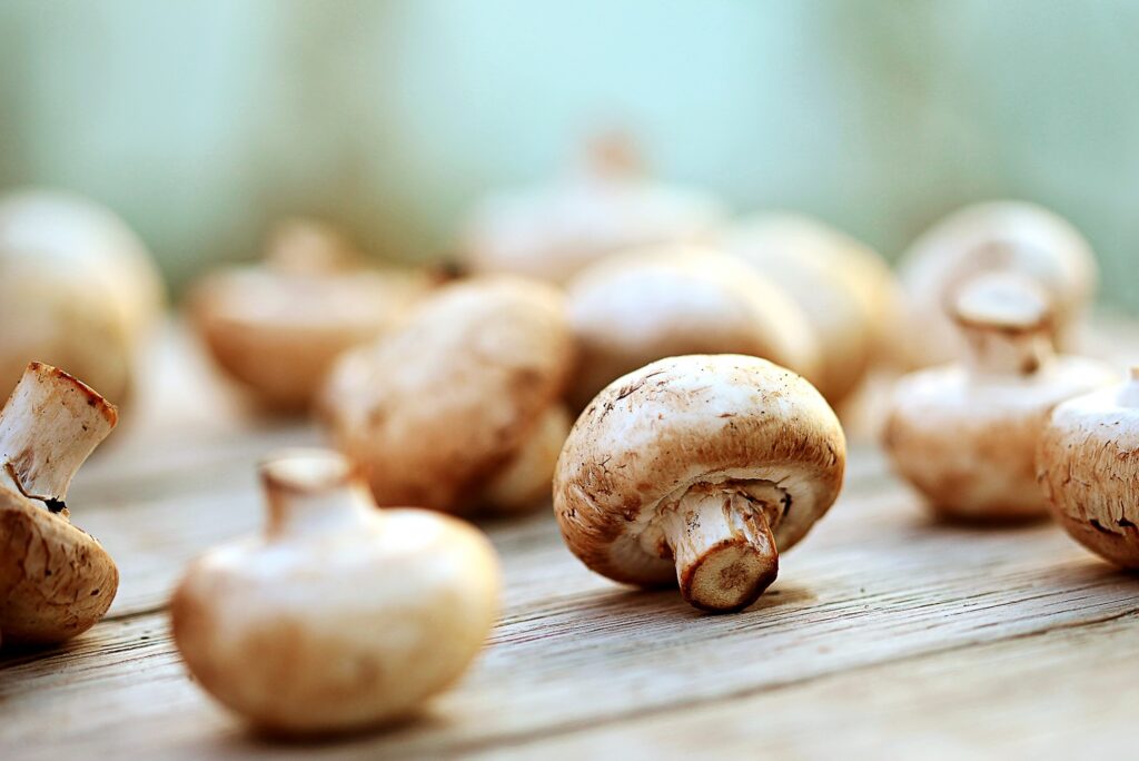 Healthiest Mushrooms 